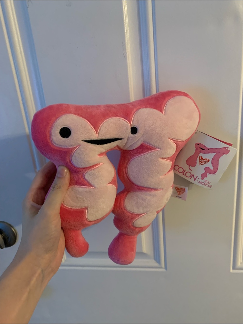I Heart Guts COLON Pink Plush NWT Stuffed Organ Body Part YOU MOVE ME Tags New!